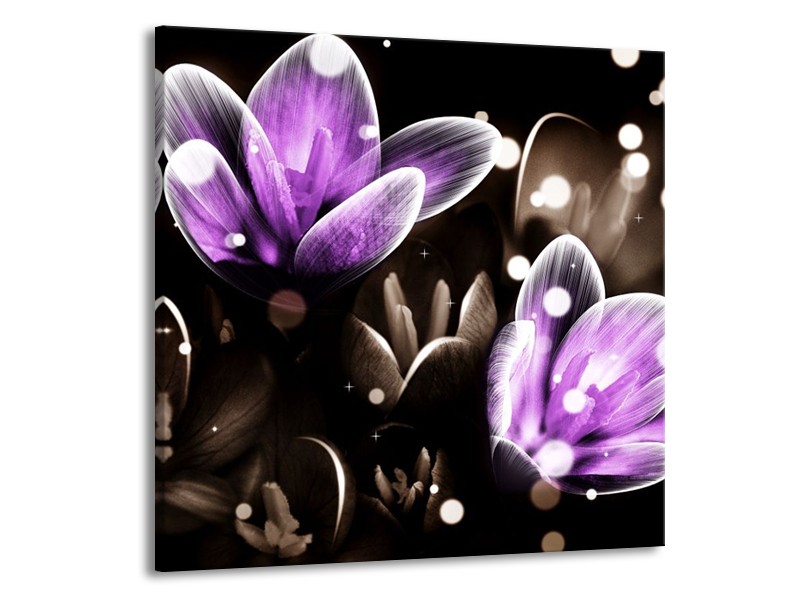 Canvas schilderij Bloem | Paars, Grijs | 50x50cm 1Luik