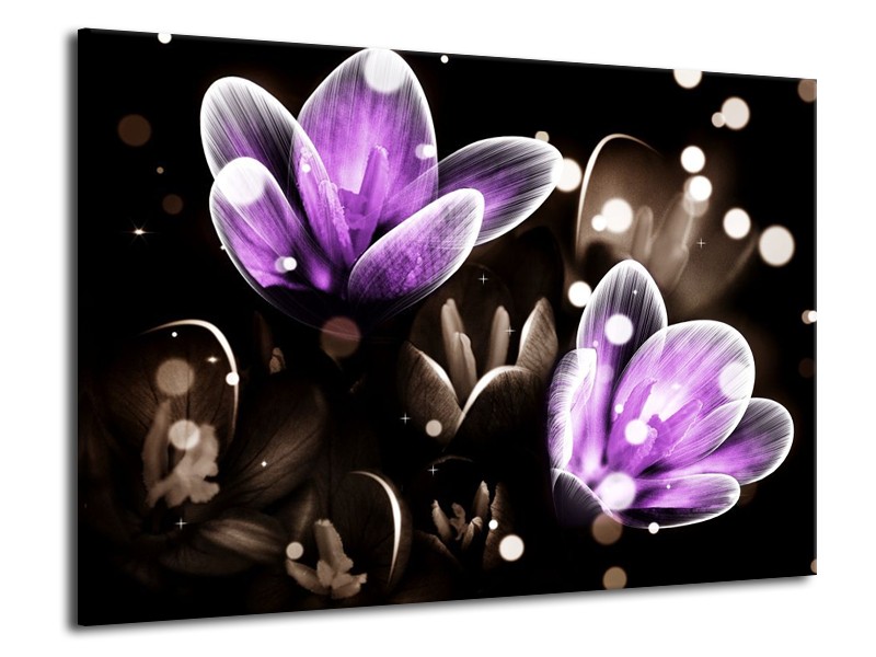 Canvas schilderij Bloem | Paars, Grijs | 70x50cm 1Luik