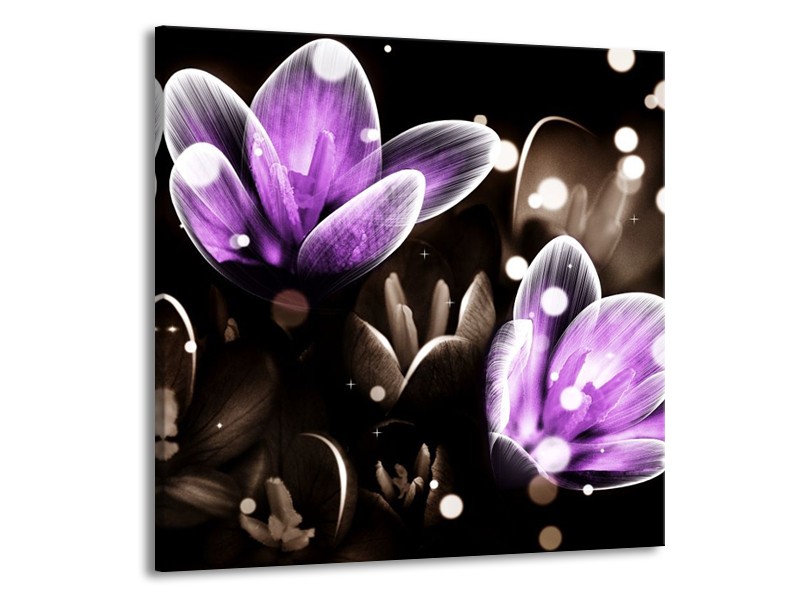 Canvas schilderij Bloem | Paars, Grijs | 70x70cm 1Luik