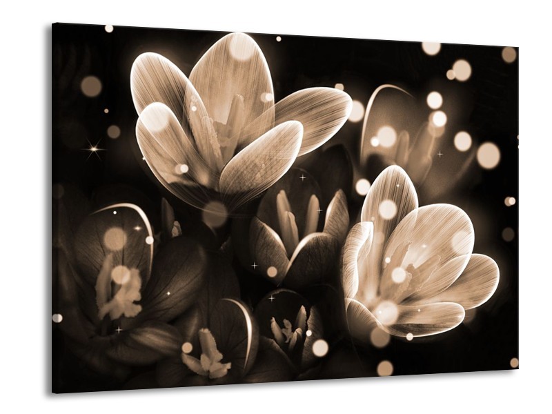Canvas schilderij Bloem | Grijs, Zwart | 100x70cm 1Luik