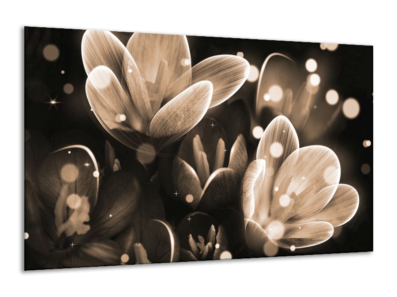 Canvas schilderij Bloem | Grijs, Zwart | 120x70cm 1Luik