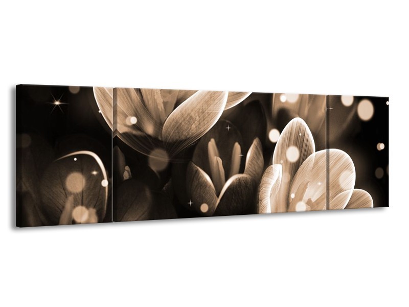 Canvas schilderij Bloem | Grijs, Zwart | 170x50cm 3Luik