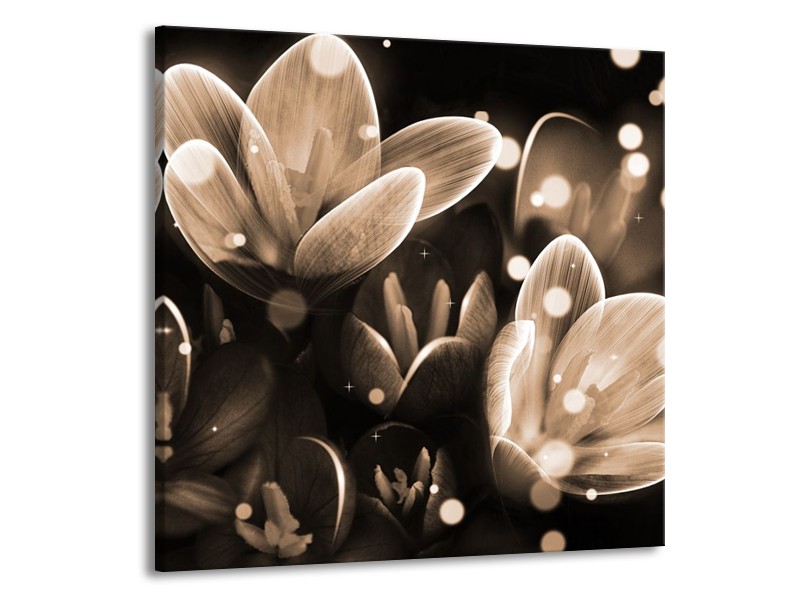 Glas schilderij Bloem | Grijs, Zwart | 50x50cm 1Luik