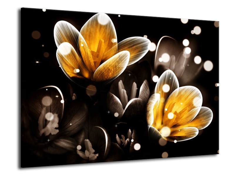 Canvas schilderij Bloem | Geel, Zwart | 70x50cm 1Luik