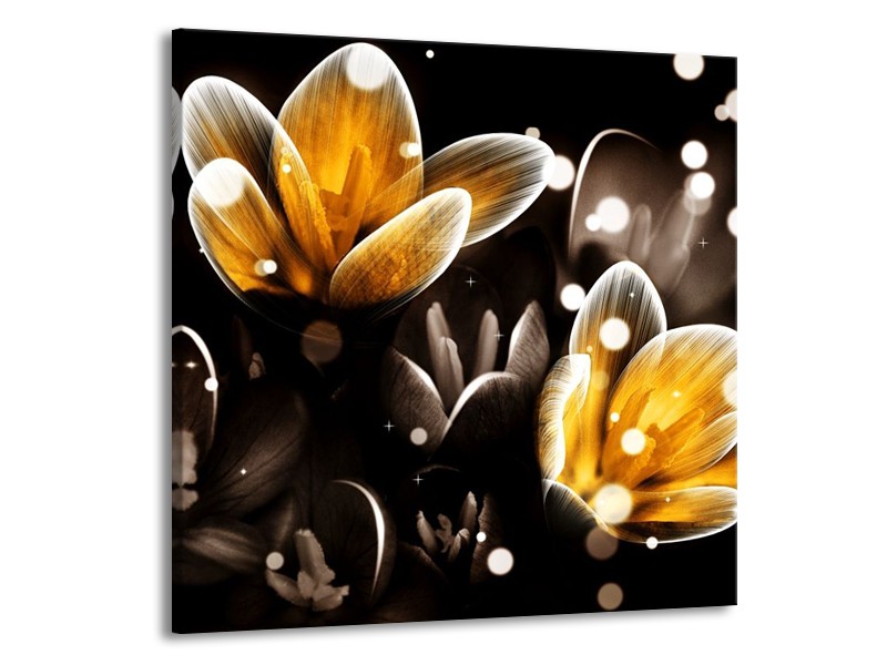 Canvas schilderij Bloem | Geel, Zwart | 70x70cm 1Luik