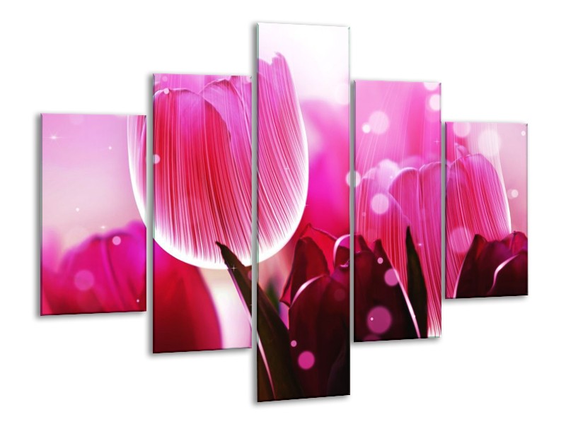 Canvas schilderij Tulp | Roze, Wit, Grijs | 100x70cm 5Luik
