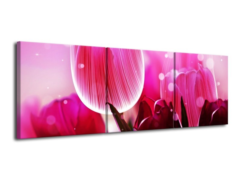 Canvas schilderij Tulp | Roze, Wit, Grijs | 120x40cm 3Luik