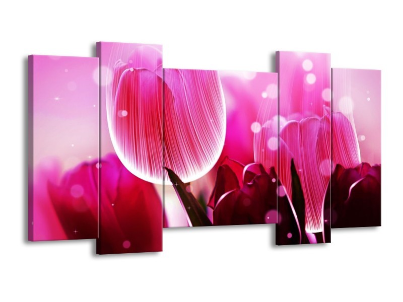Canvas schilderij Tulp | Roze, Wit, Grijs | 120x65 5Luik