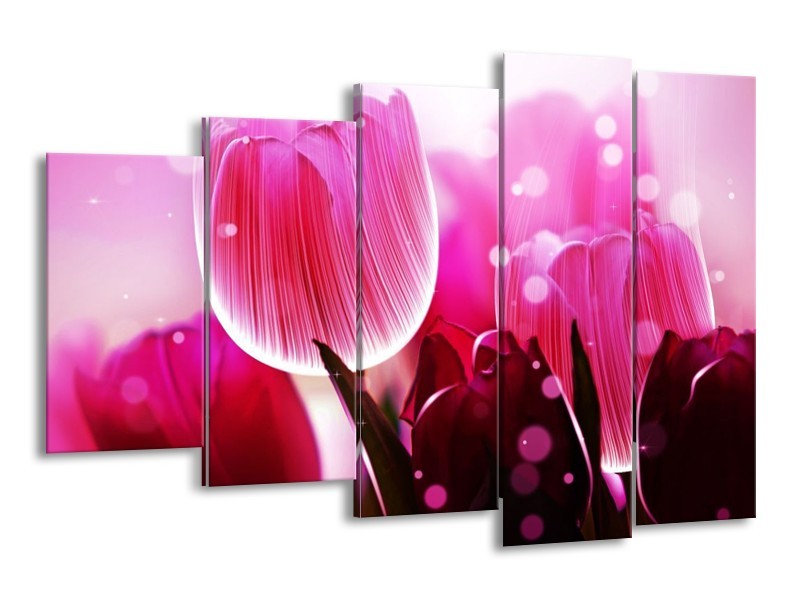 Canvas schilderij Tulp | Roze, Wit, Grijs | 150x100cm 5Luik
