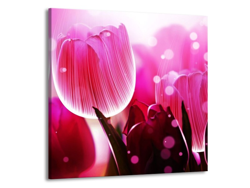 Canvas schilderij Tulp | Roze, Wit, Grijs | 50x50cm 1Luik