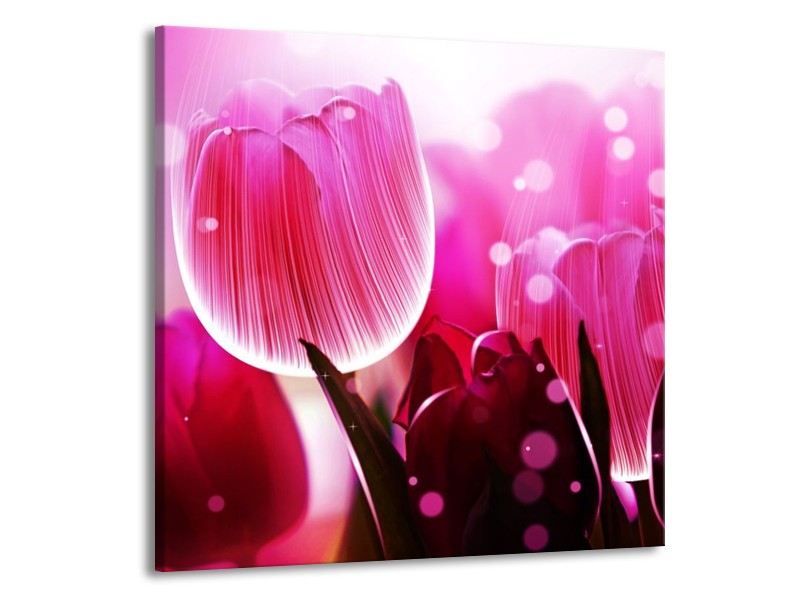 Canvas schilderij Tulp | Roze, Wit, Grijs | 70x70cm 1Luik