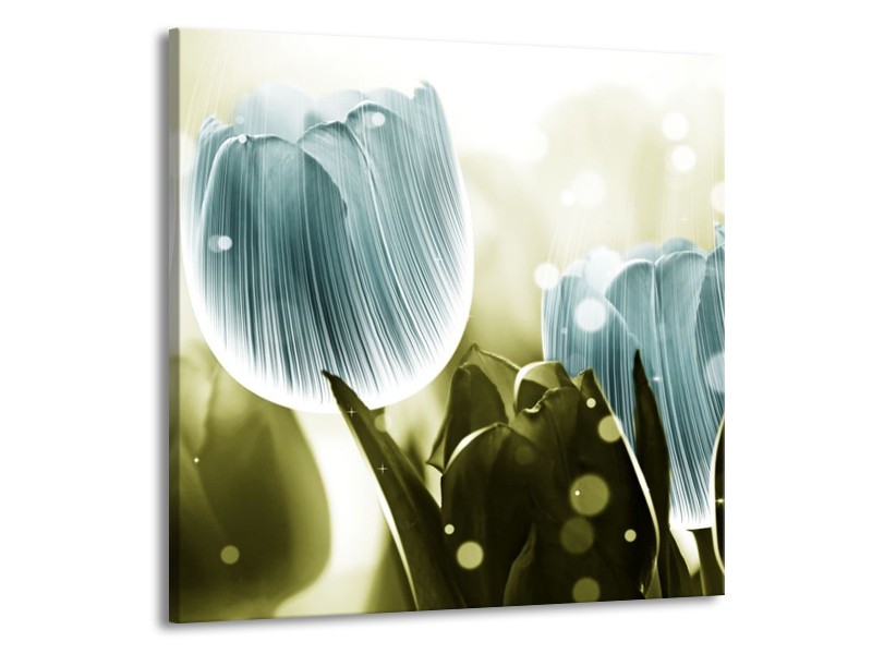 Canvas schilderij Tulp | Blauw, Groen | 50x50cm 1Luik
