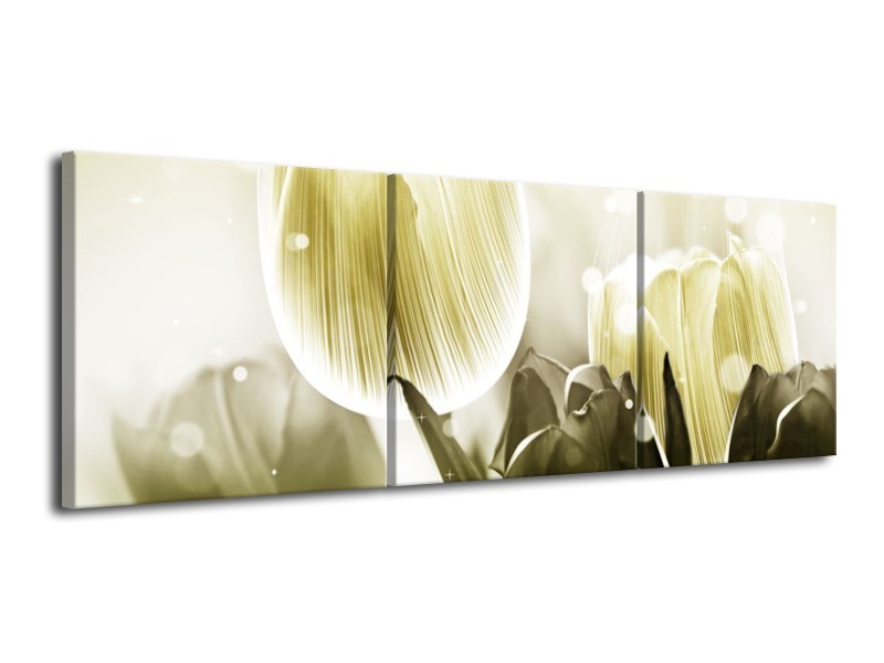 Canvas schilderij Tulp | Wit, Grijs | 120x40cm 3Luik