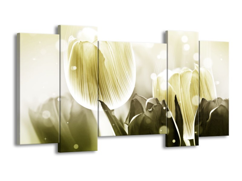 Canvas schilderij Tulp | Wit, Grijs | 120x65 5Luik