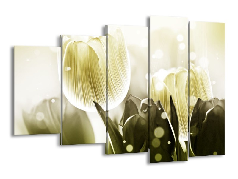 Canvas schilderij Tulp | Wit, Grijs | 150x100cm 5Luik