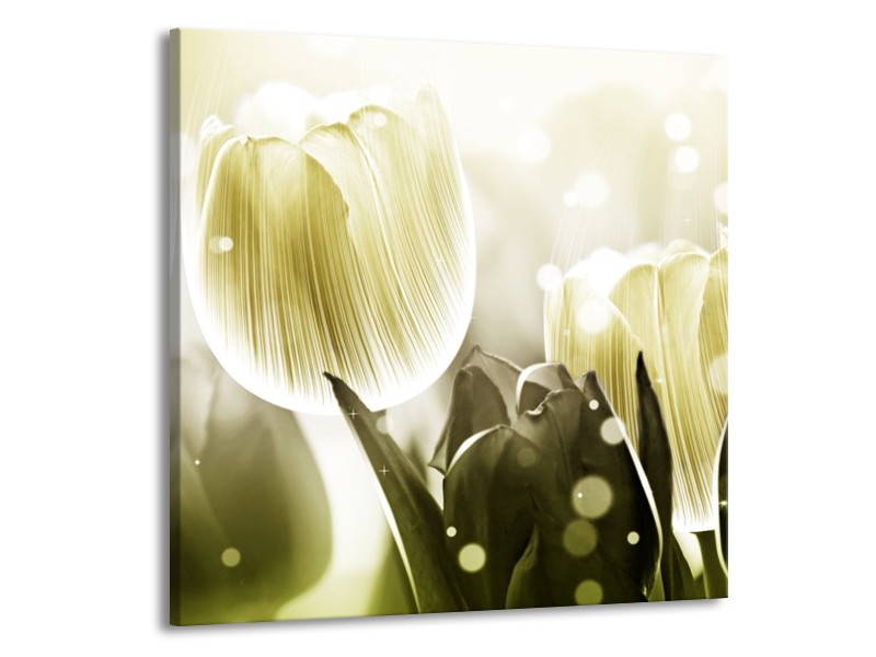 Canvas schilderij Tulp | Wit, Grijs | 50x50cm 1Luik