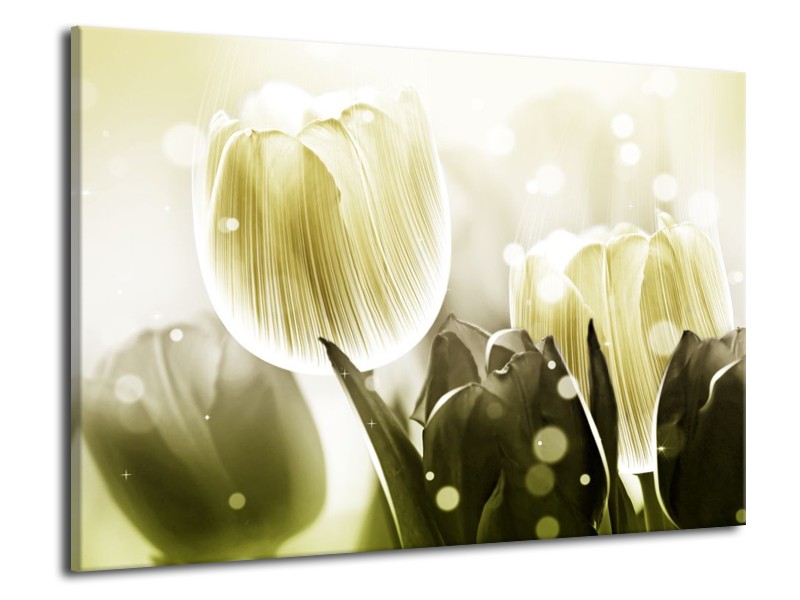 Canvas schilderij Tulp | Wit, Grijs | 70x50cm 1Luik