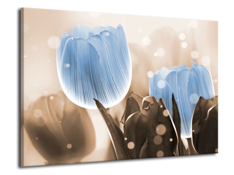 Canvas schilderij Tulp | Blauw, Grijs | 70x50cm 1Luik