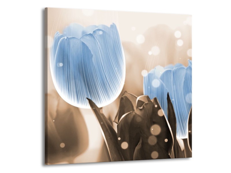 Canvas schilderij Tulp | Blauw, Grijs | 70x70cm 1Luik