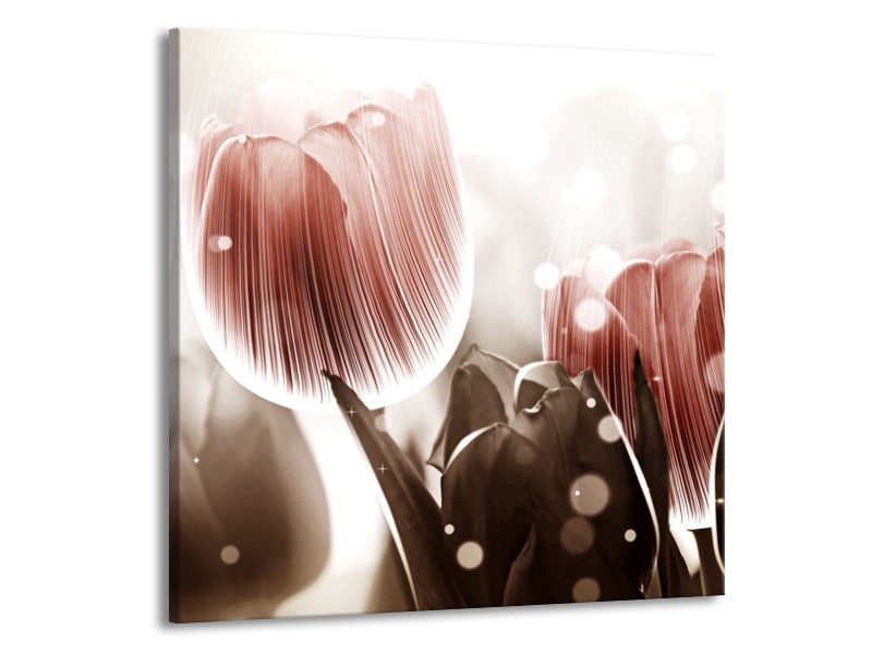 Glas schilderij Tulp | Bruin, Grijs | 50x50cm 1Luik