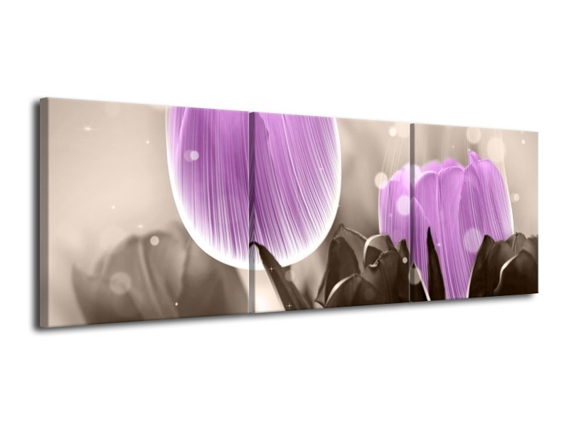 Canvas schilderij Tulp | Paars, Grijs | 120x40cm 3Luik