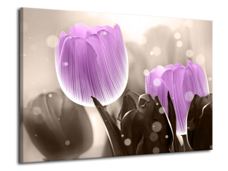 Canvas schilderij Tulp | Paars, Grijs | 70x50cm 1Luik