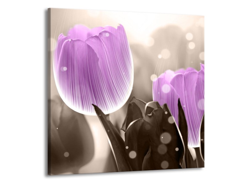 Canvas schilderij Tulp | Paars, Grijs | 70x70cm 1Luik