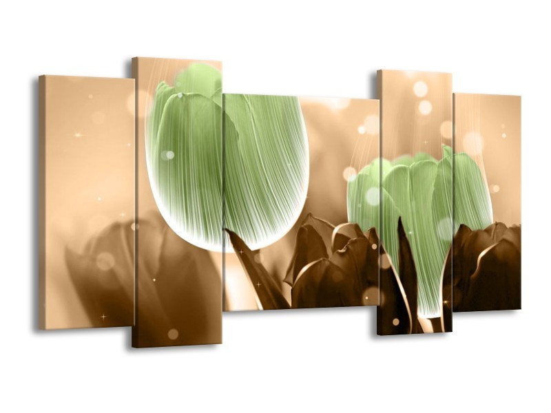 Canvas schilderij Tulp | Groen, Bruin | 120x65 5Luik