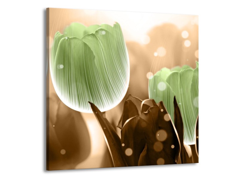 Canvas schilderij Tulp | Groen, Bruin | 50x50cm 1Luik