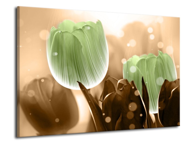 Canvas schilderij Tulp | Groen, Bruin | 70x50cm 1Luik