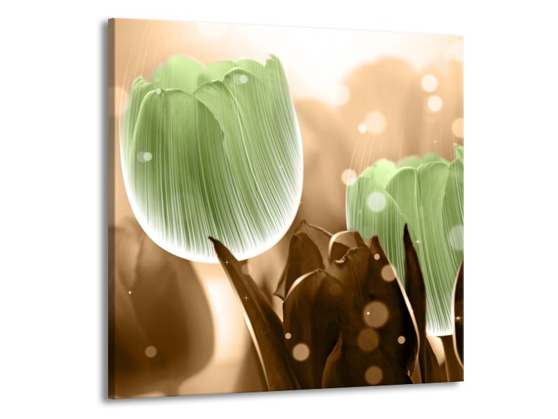 Canvas schilderij Tulp | Groen, Bruin | 70x70cm 1Luik