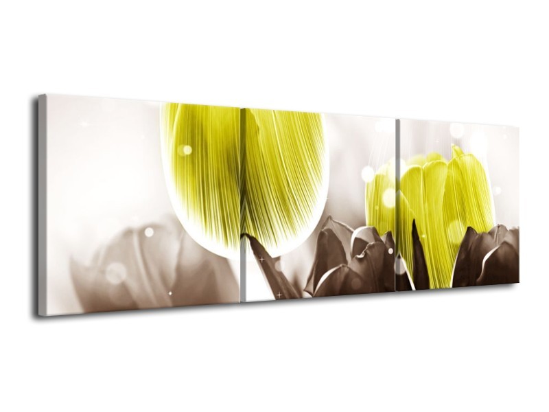 Canvas schilderij Tulp | Geel, Grijs | 120x40cm 3Luik