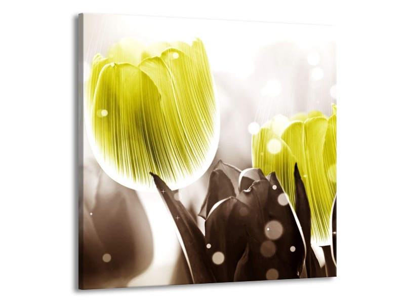 Canvas schilderij Tulp | Geel, Grijs | 50x50cm 1Luik