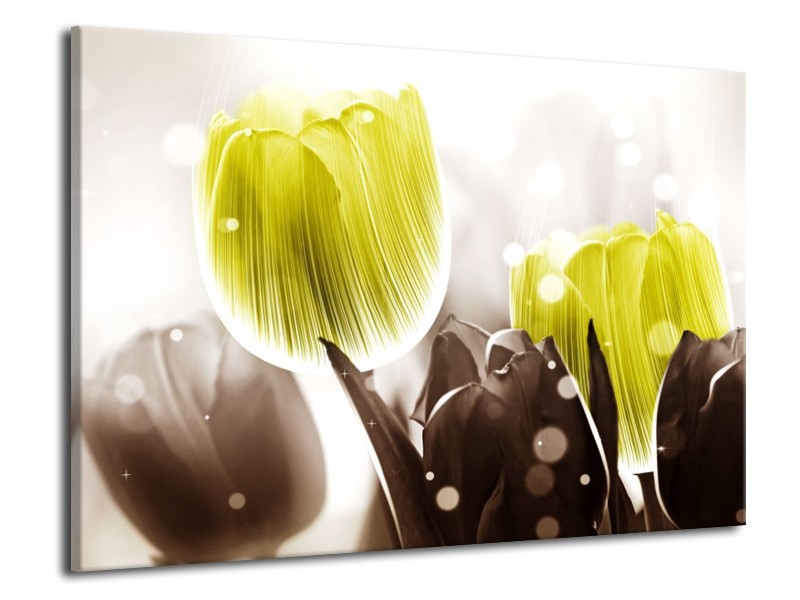 Canvas schilderij Tulp | Geel, Grijs | 70x50cm 1Luik