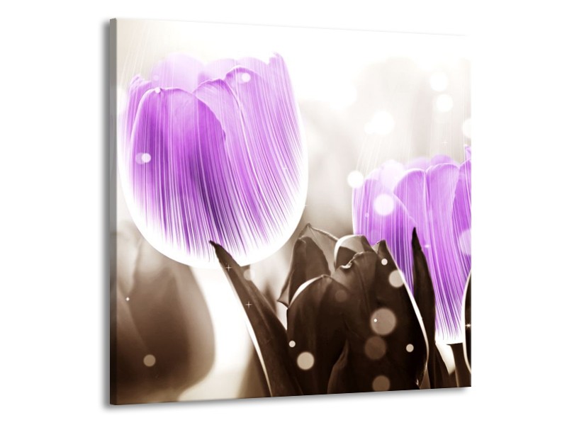 Canvas schilderij Tulp | Paars, Grijs | 50x50cm 1Luik