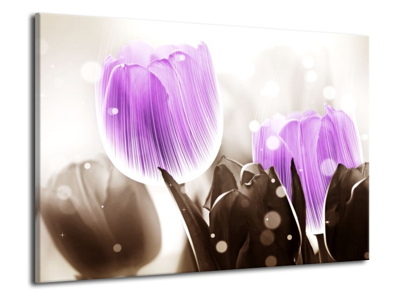 Canvas schilderij Tulp | Paars, Grijs | 70x50cm 1Luik