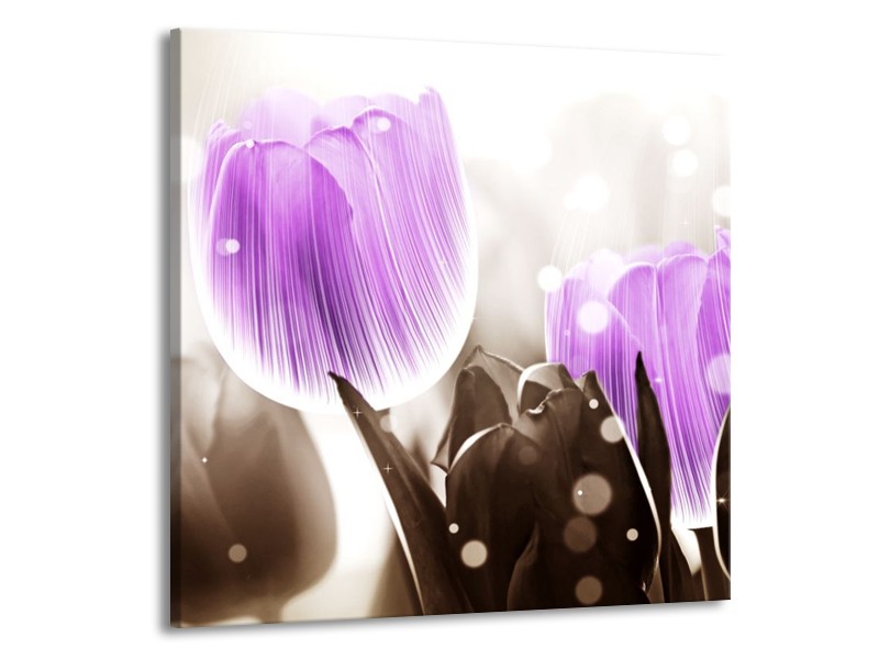 Canvas schilderij Tulp | Paars, Grijs | 70x70cm 1Luik