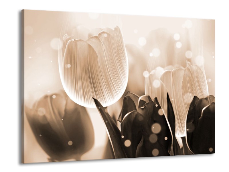 Canvas schilderij Tulp | Grijs, Bruin, Zwart | 100x70cm 1Luik