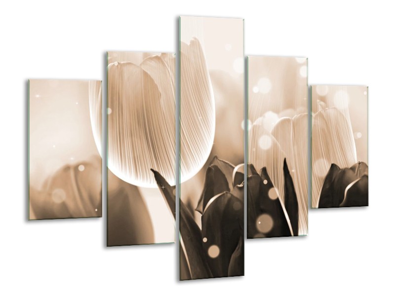 Glas schilderij Tulp | Grijs, Bruin, Zwart | 100x70cm 5Luik