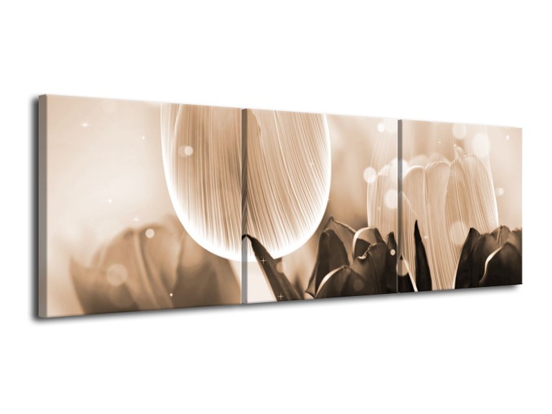 Glas schilderij Tulp | Grijs, Bruin, Zwart | 120x40cm 3Luik