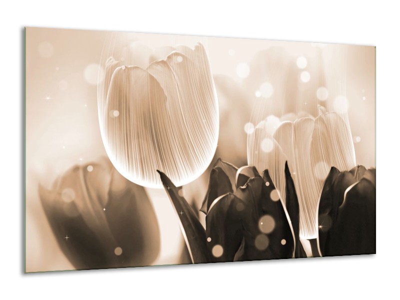 Canvas schilderij Tulp | Grijs, Bruin, Zwart | 120x70cm 1Luik
