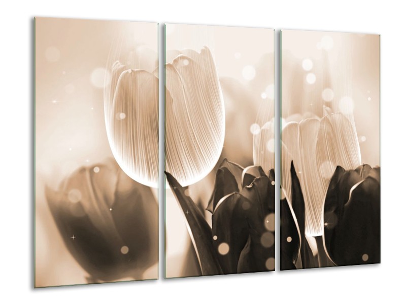 Canvas schilderij Tulp | Grijs, Bruin, Zwart | 120x80cm 3Luik