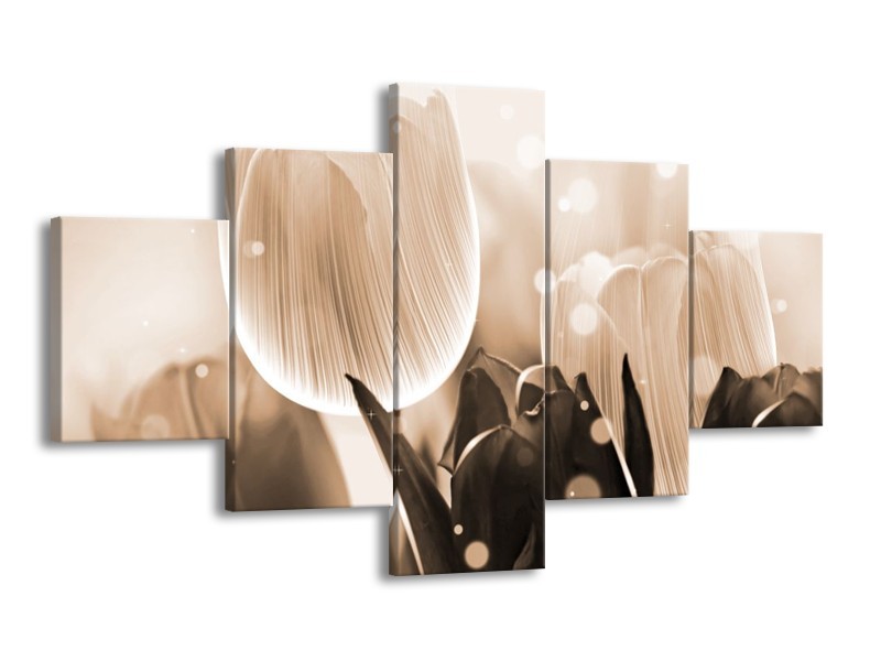 Glas schilderij Tulp | Grijs, Bruin, Zwart | 125x70cm 5Luik