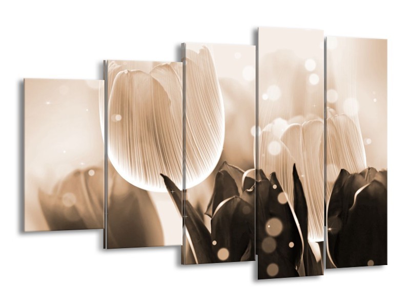 Glas schilderij Tulp | Grijs, Bruin, Zwart | 150x100cm 5Luik