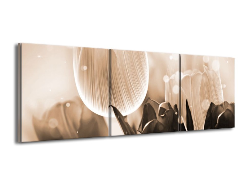 Glas schilderij Tulp | Grijs, Bruin, Zwart | 150x50cm 3Luik