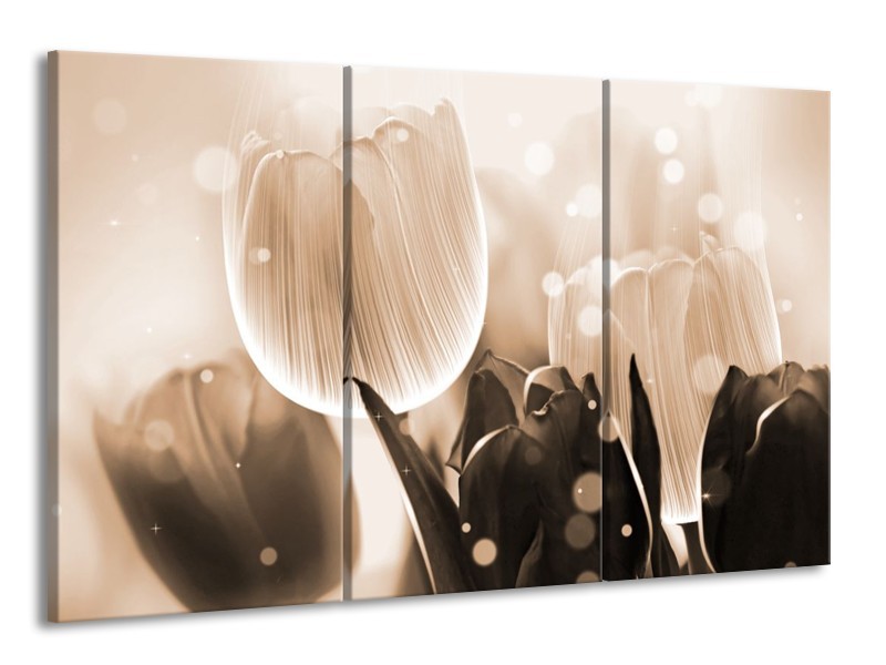 Glas schilderij Tulp | Grijs, Bruin, Zwart | 165x100cm 3Luik