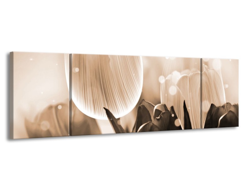Canvas schilderij Tulp | Grijs, Bruin, Zwart | 170x50cm 3Luik