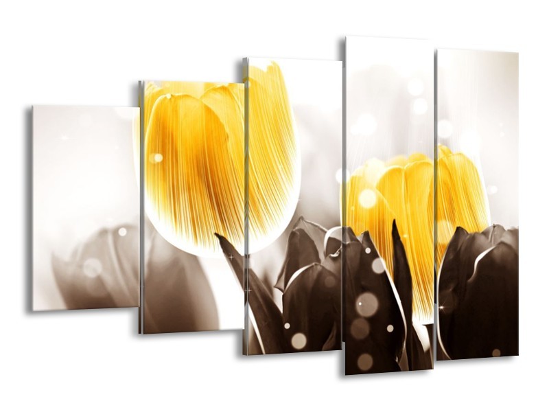 Canvas schilderij Tulp | Geel, Grijs | 150x100cm 5Luik