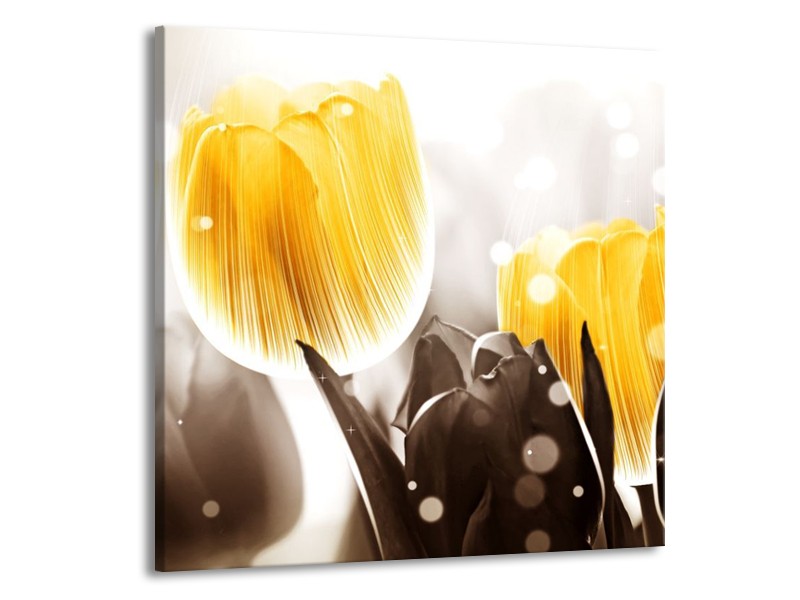Canvas schilderij Tulp | Geel, Grijs | 50x50cm 1Luik