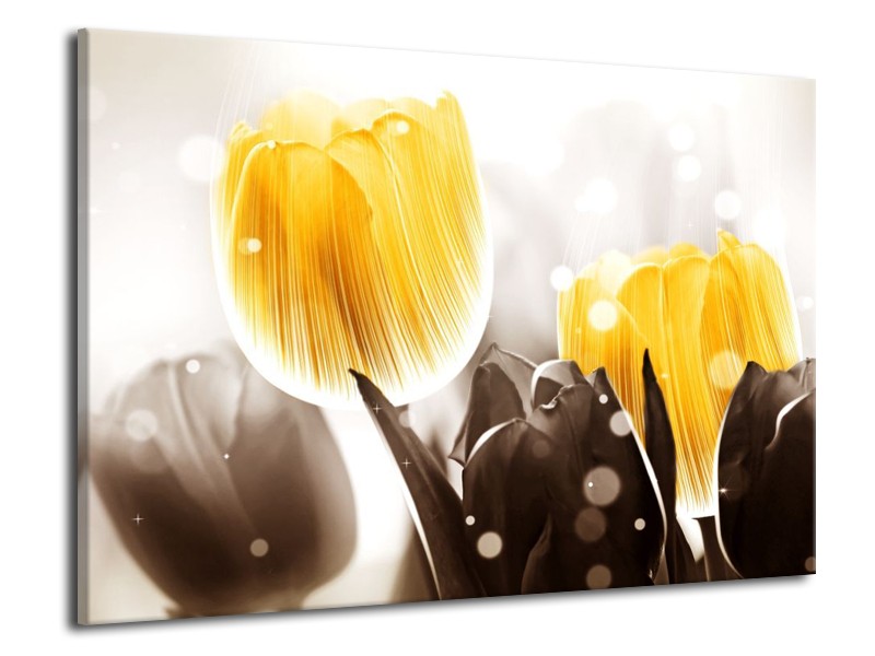 Canvas schilderij Tulp | Geel, Grijs | 70x50cm 1Luik